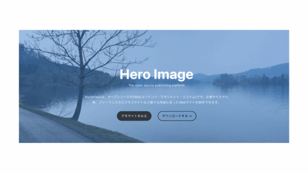 ［ヒーロー］カバー